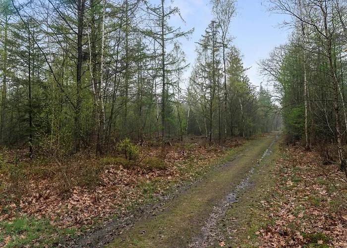 De Havik Alpstuga Emst