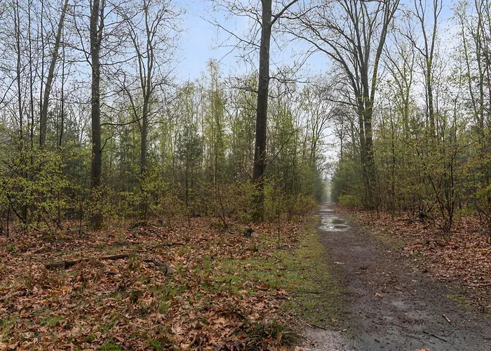 Chalet De Havik Emst