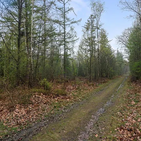 De Havik Chalet Emst