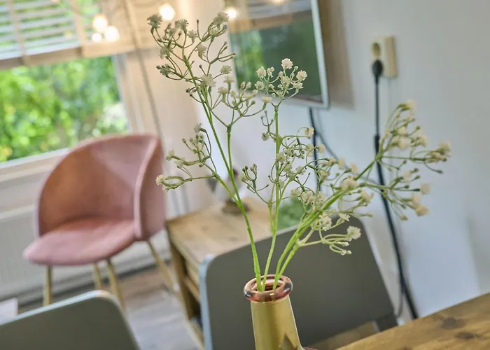 De Havik Σαλέ Emst